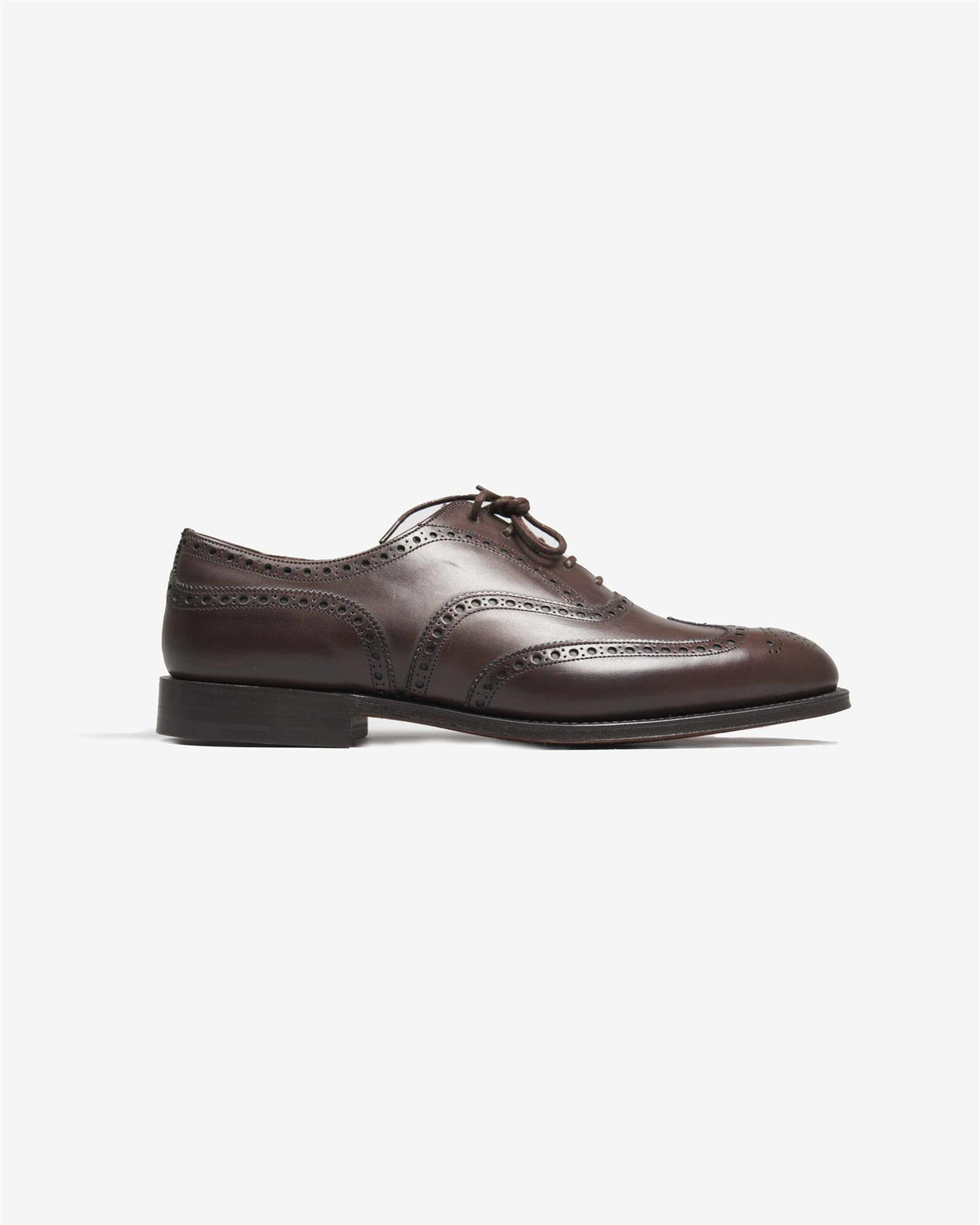 Chetwynd Nevada Brogue - Brun