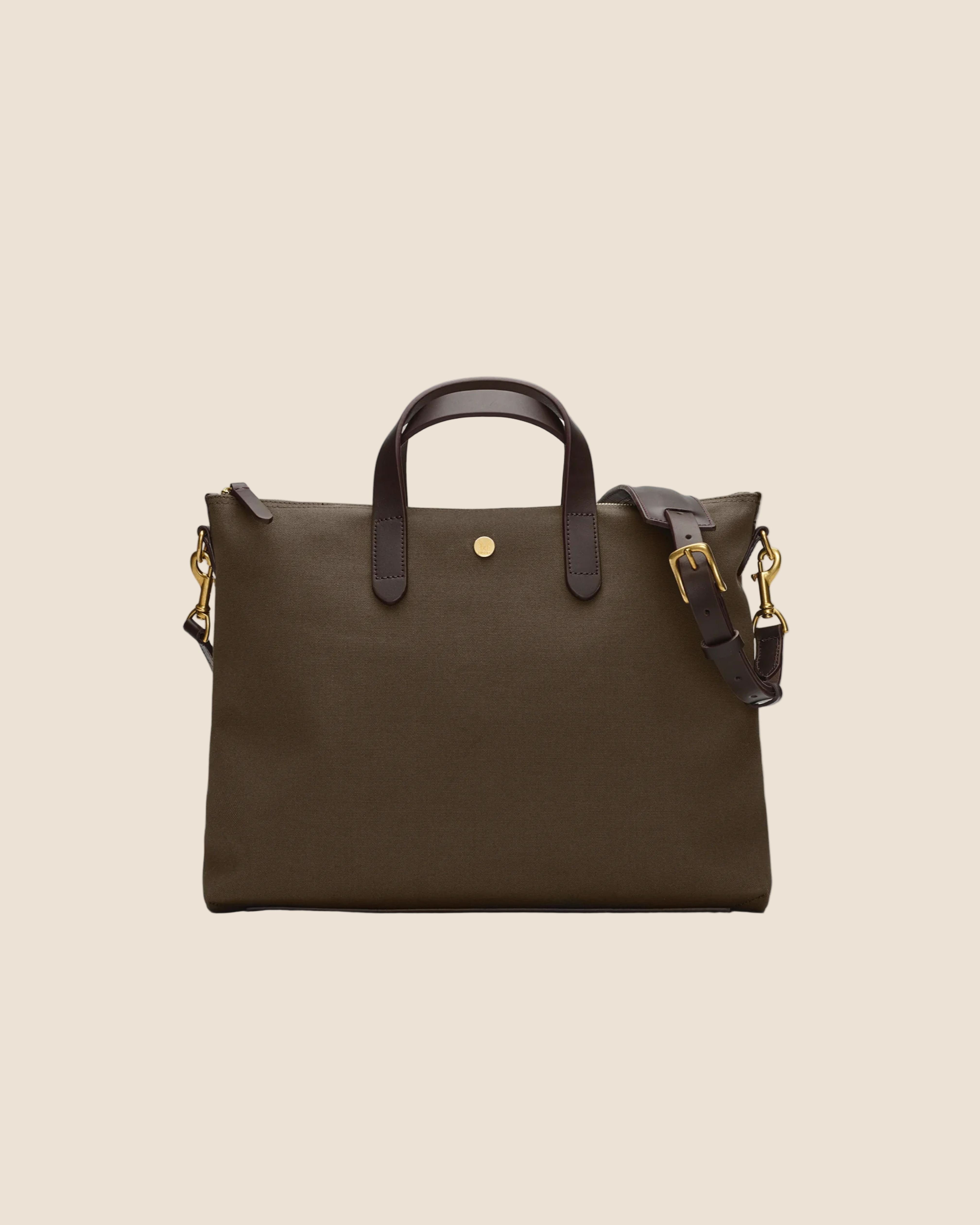 MS Brief