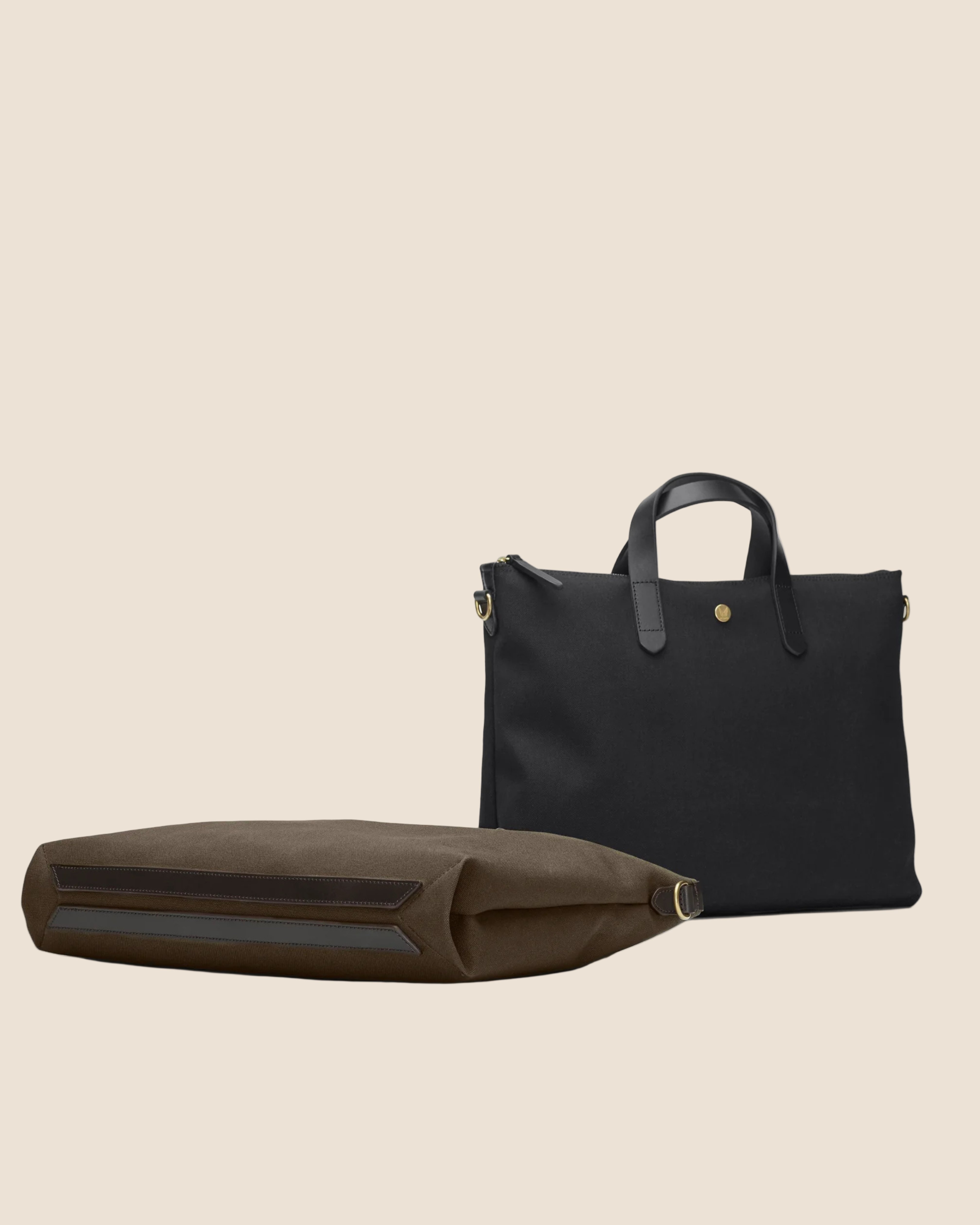 MS Brief