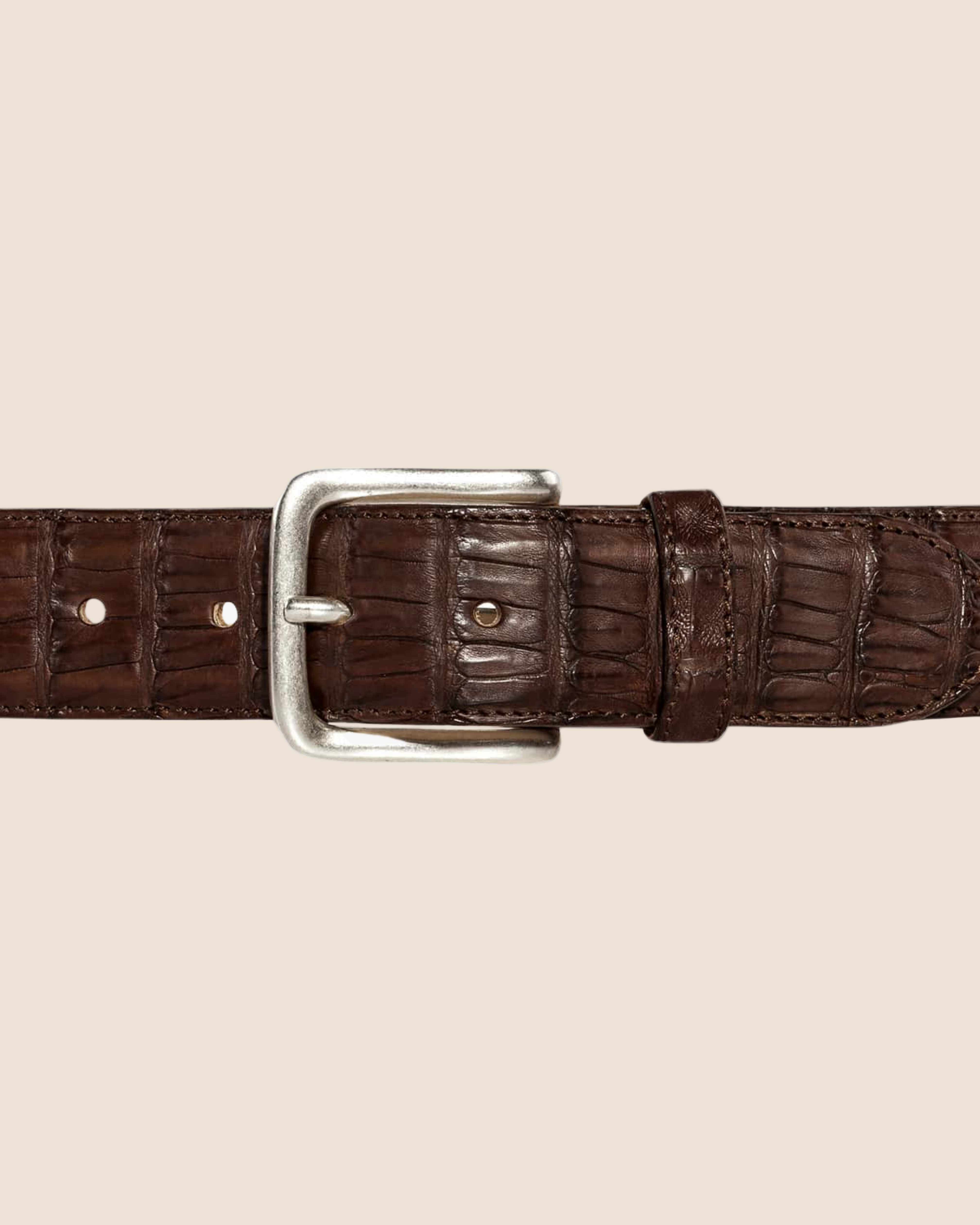 Caymantail - Brun