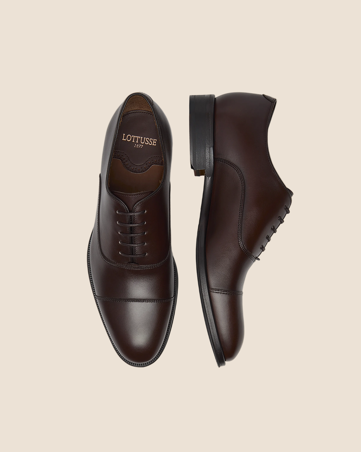 Lenox Oxford Ebony Brun