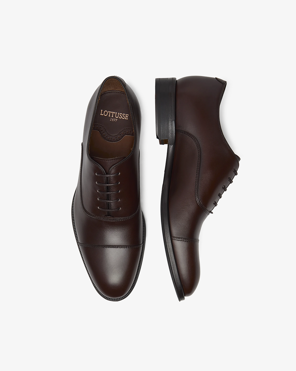 Lenox Oxford Ebony Brun