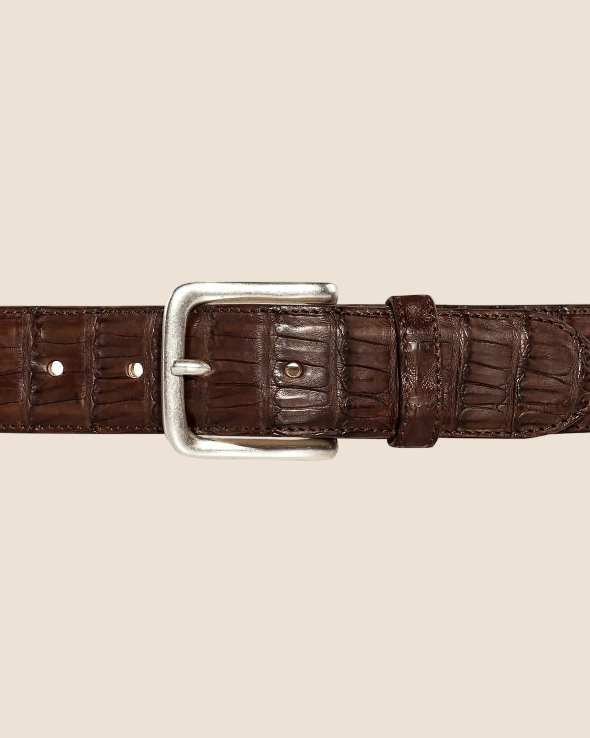 Caymantail - Brun