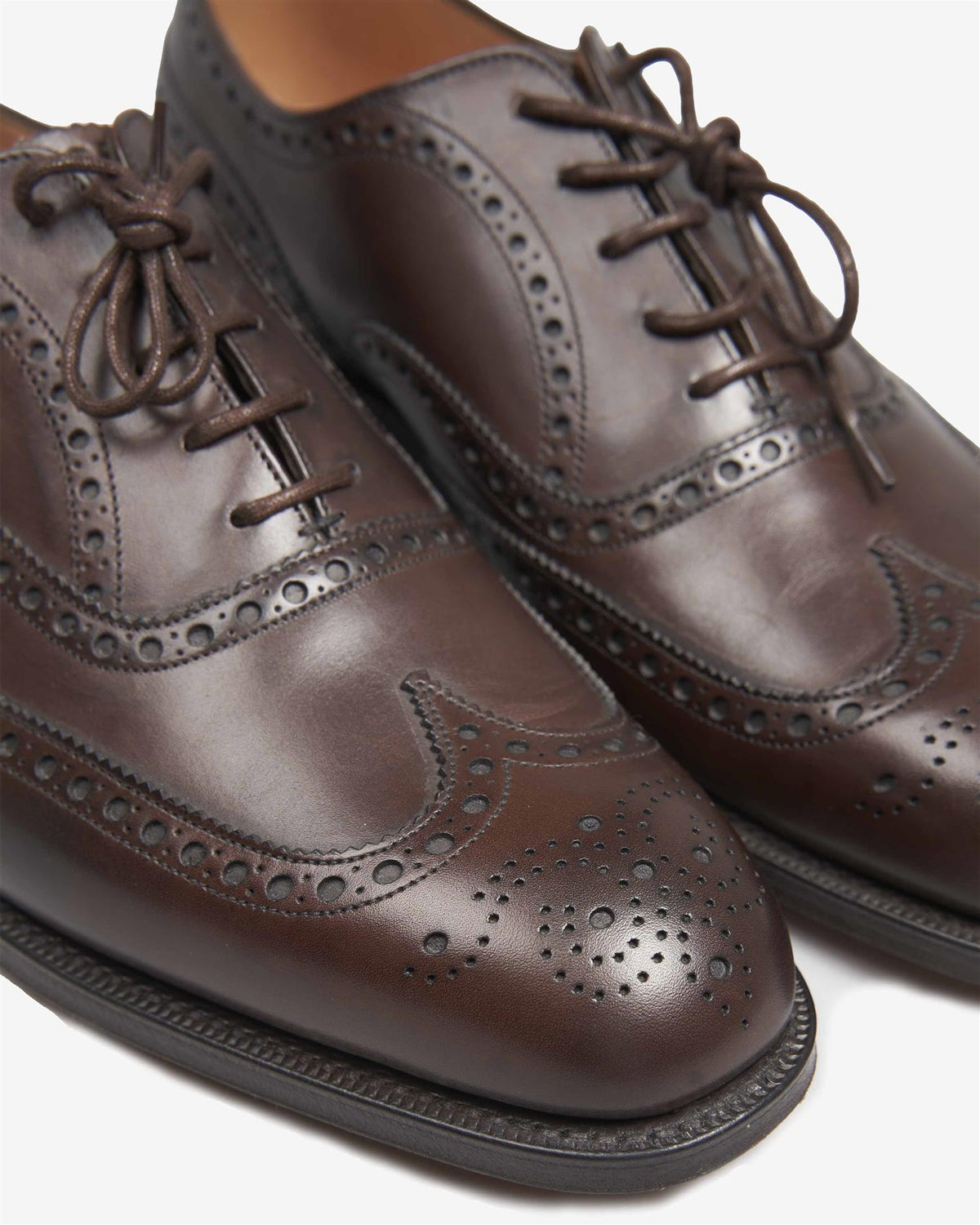Chetwynd Nevada Brogue - Brun