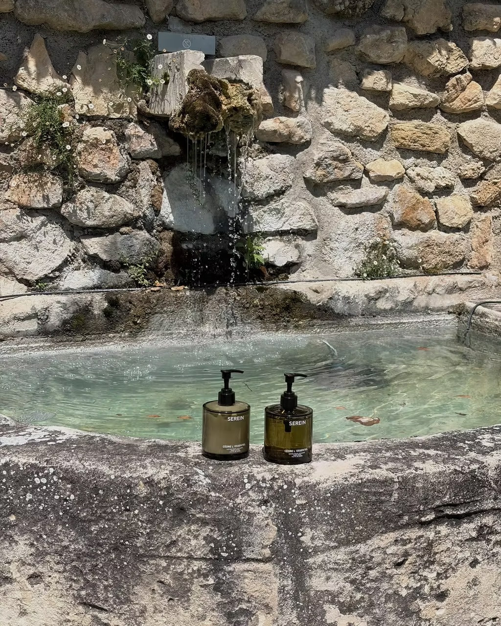 Hand Wash - Cèdre