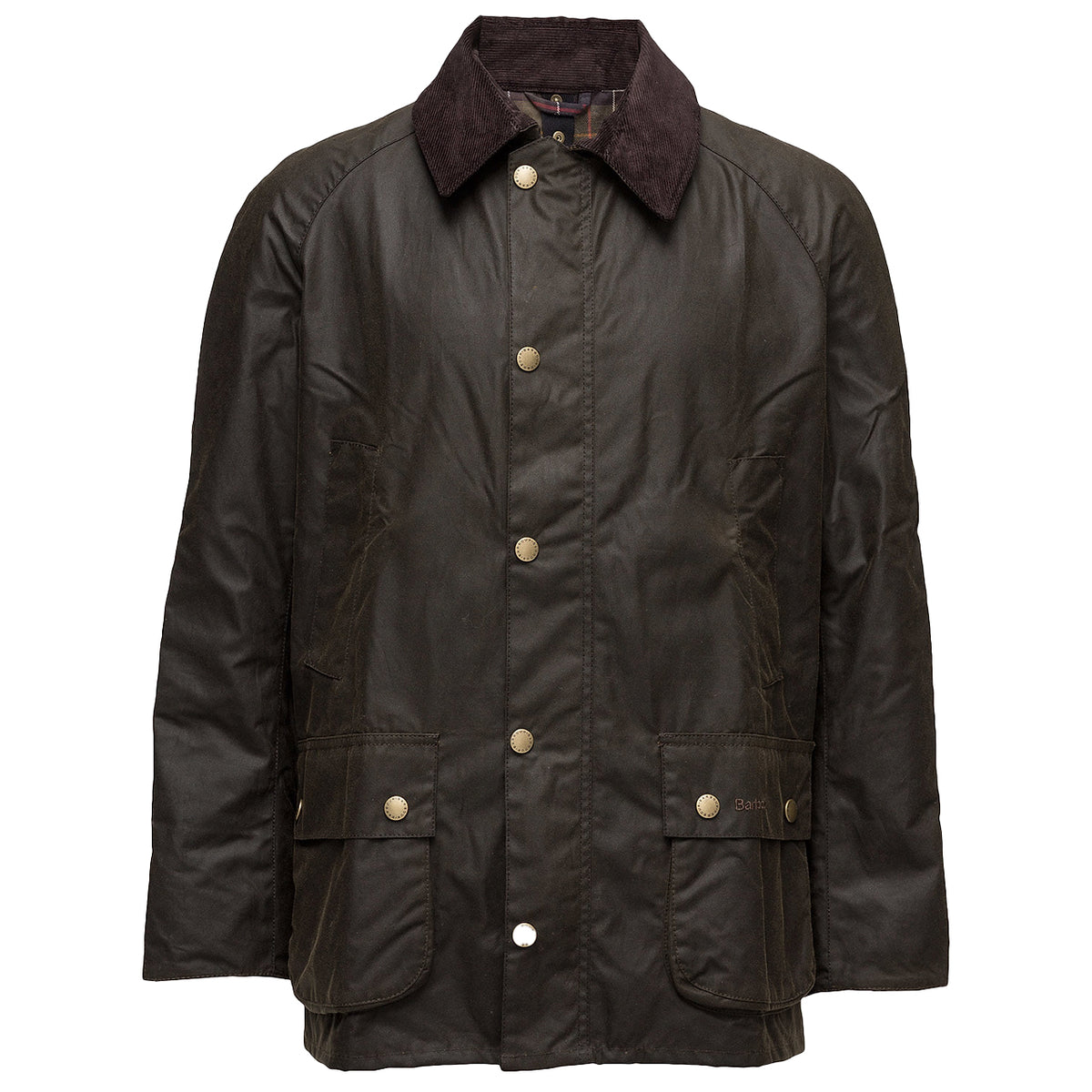 Classic Beaufort - Oliven