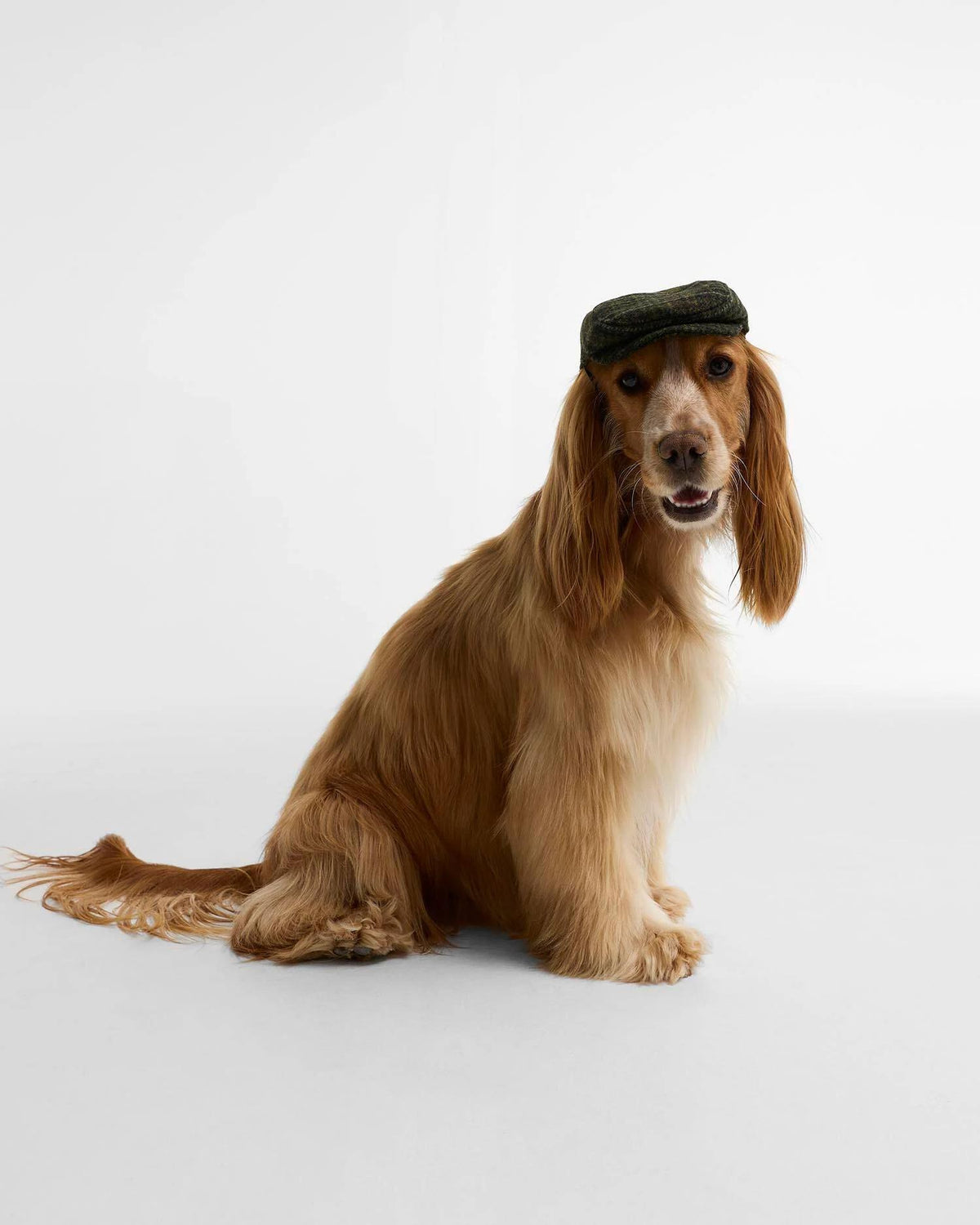 Dog flat Cap - Tartan