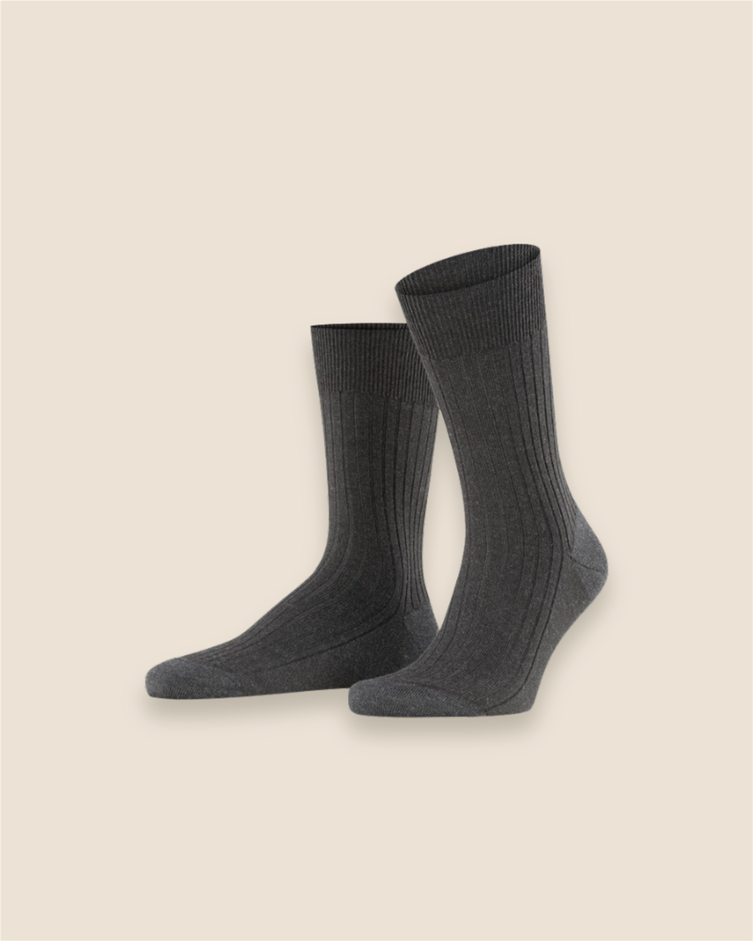 Bristol Pure - Mørkegrå