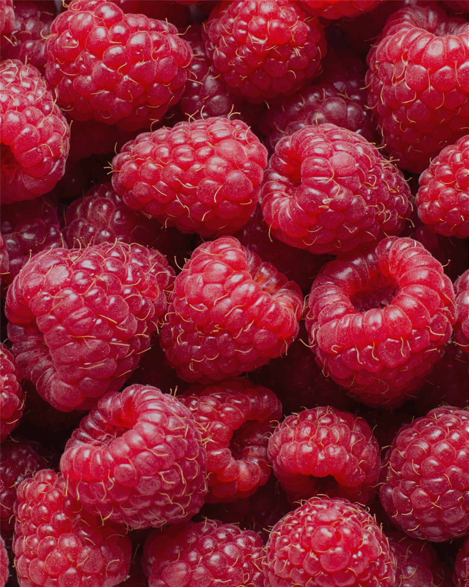 Bringebær lakrisplate